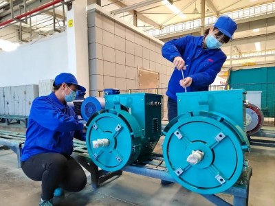 發(fā)電機 船用 陸用圖5