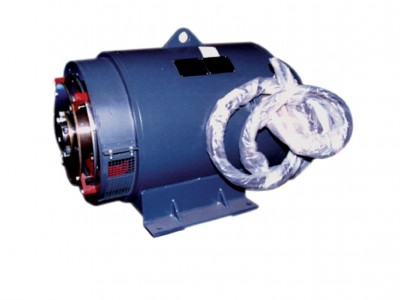 發(fā)電機 船用 陸用圖9