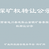 江西省遂川縣峨梨山金銀礦普查探礦權(quán)轉(zhuǎn)讓公示