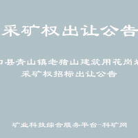 林口縣青山鎮(zhèn)老豬山建筑用花崗巖礦采礦權(quán)招標(biāo)出讓公告
