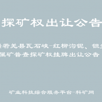 新疆若羌縣瓦石峽-紅柳溝鈮、鉭多金屬礦普查探礦權(quán)掛牌出讓公告