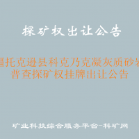新疆托克遜縣科克乃克凝灰質(zhì)砂巖礦普查探礦權(quán)掛牌出讓公告